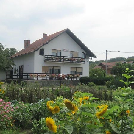 Sobe Zimmer Rooms Nika Tusilovic Exterior foto